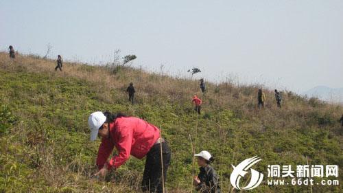 登山寻宝活动方案