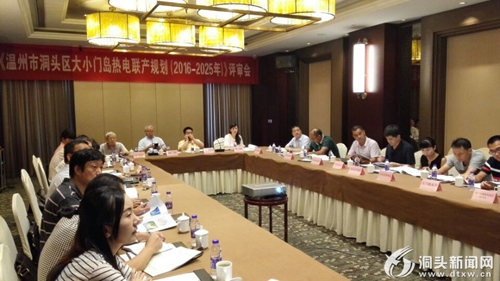 我区大小门岛热电联产规划评审会在杭召开