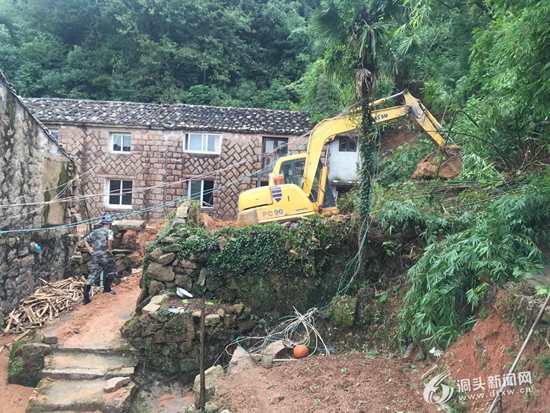 防风人口研究_中药防风图片(2)