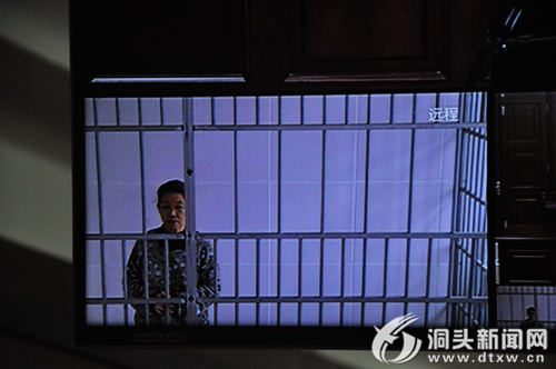 数罪并罚 杨莲花获十一年三个月有期徒刑 - 洞