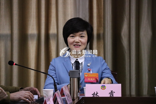 林霞参加社科界、科技界、渔农界讨论 - 洞头新