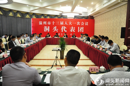 洞头代表团认真审议市人大常委会报告和“法检”两院工作报告