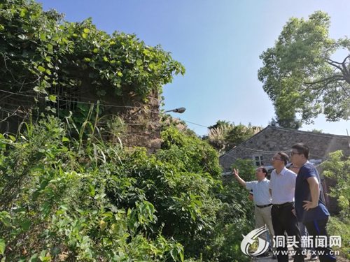 区领导率队督查地质灾害治理 及垦造耕地、城乡危旧房整治情况