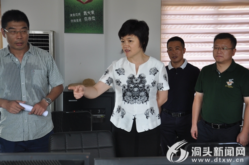 林霞一行开展突出环境问题整改工作和建筑安全生产工作督查
