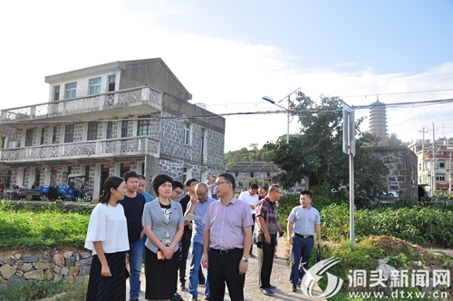 林霞率队开展土地整治专项督查
