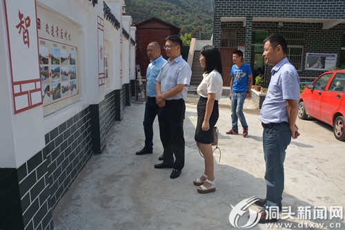 区领导赴大门镇调研宣传思想文化