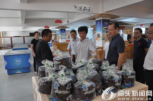 王蛟虎带队调研水产品企业：做到专业  学会合作