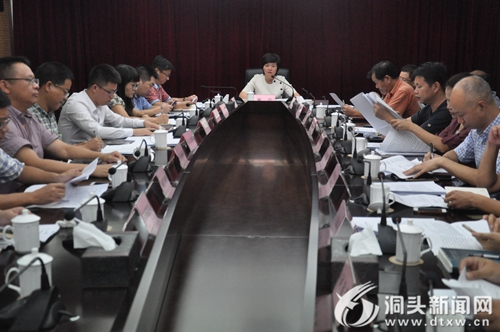 2017建议提案现场督察工作汇报会召开 - 洞头新闻网
