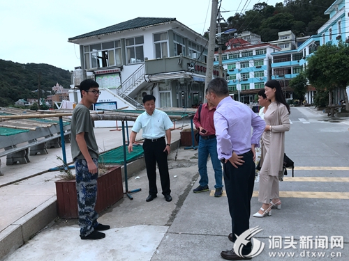 区人大赴鹿西乡开展美丽乡村创建督查工作