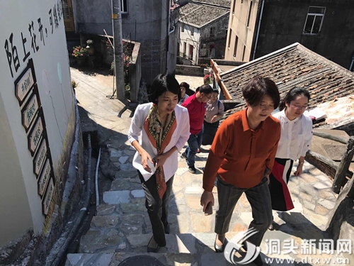 市妇联调研洞头妇联工作