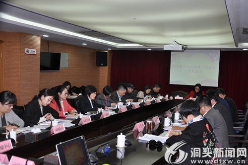 省文化厅副厅长叶菁一行调研我区文化工作