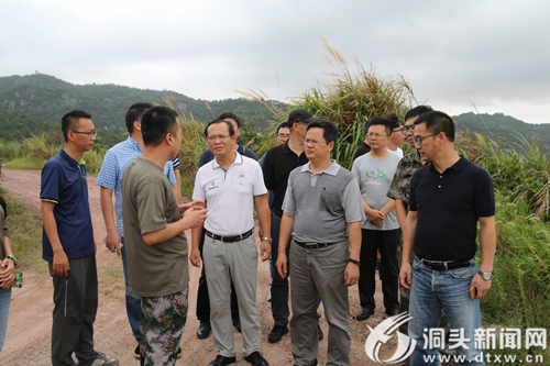 国家减灾委工作组来我区指导督查防台工作