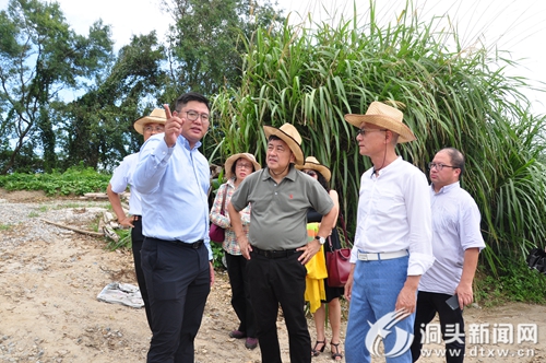 台湾社区营造专家团来洞头调研:合力推进洞头与台湾社区营造及民宿发展