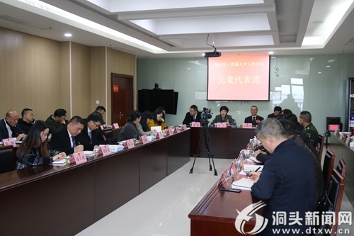 【直击“两会”】林霞参加元觉、鹿西代表团分组讨论