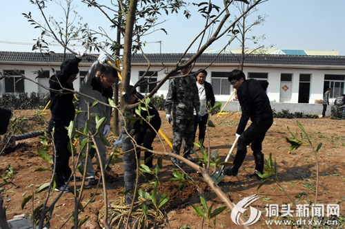 区领导开展义务植树活动