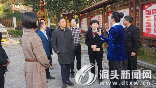 “省十佳特色村寨示范单位培育名录”检查组走进洞头开展互观互评活动