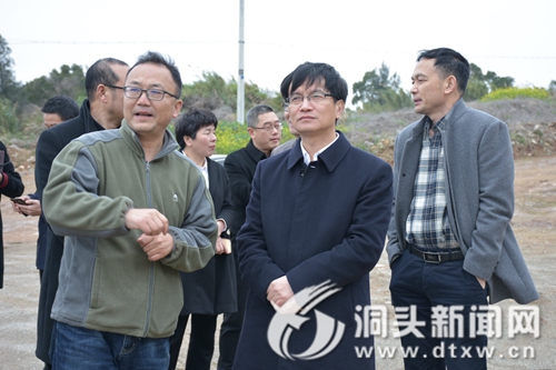 王蛟虎调研两岸同心示范带