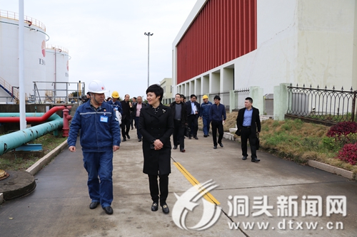 林霞：迅速排查隐患  严防事故发生