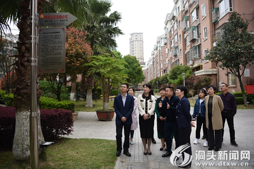 市妇联调研洞头妇建工作