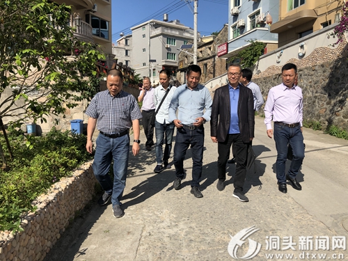 区人大赴东屏街道开展乡村振兴专题调研
