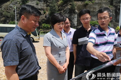 林霞开展重点议提案及民生实事项目督查