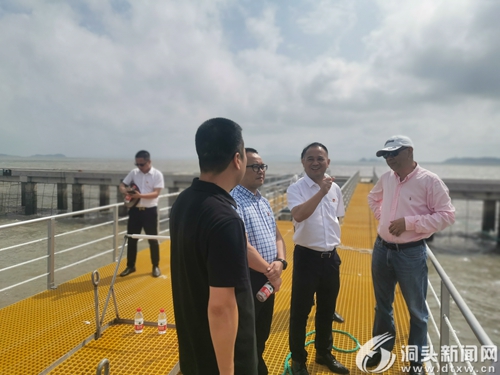  区领导调研鹿西乡基层党建工作