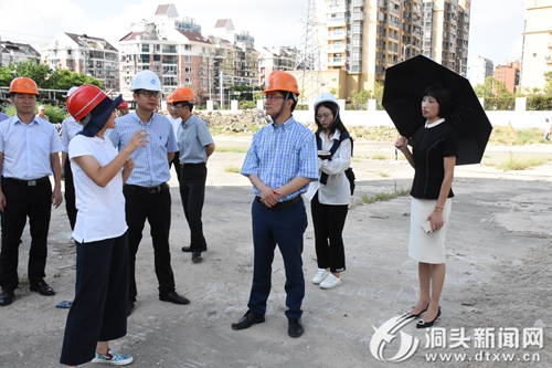 王蛟虎调研教育工作：推进高质量发展 引领洞头教育再上台阶