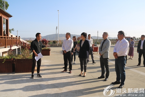 【不忘初心 牢记使命】林霞：不断增进民生福祉   助力元觉街道“中部崛起”