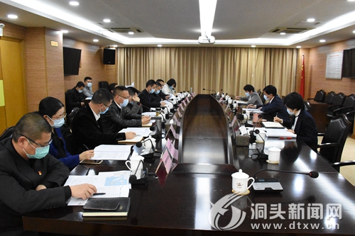 王蛟虎：大胆创新谋规划  坚定“海上花园”发展目标不动摇