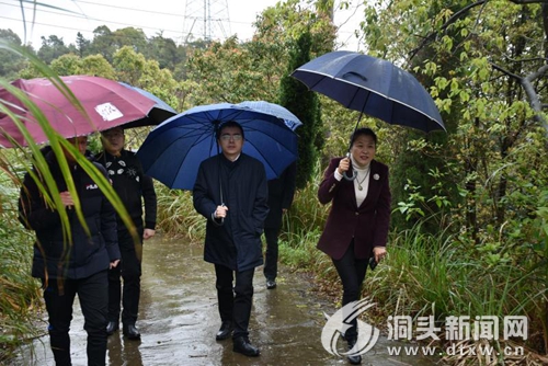 泉州新能源汽车保有量57745辆 每一100辆车有3辆是新能源车