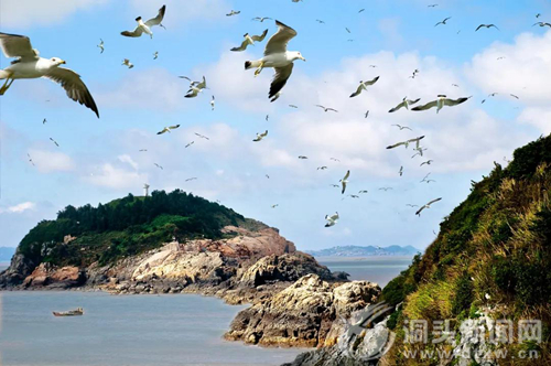 洞头鹿西美丽城镇培育显成效 美丽"鹿岛"扮靓"花园鹿西"