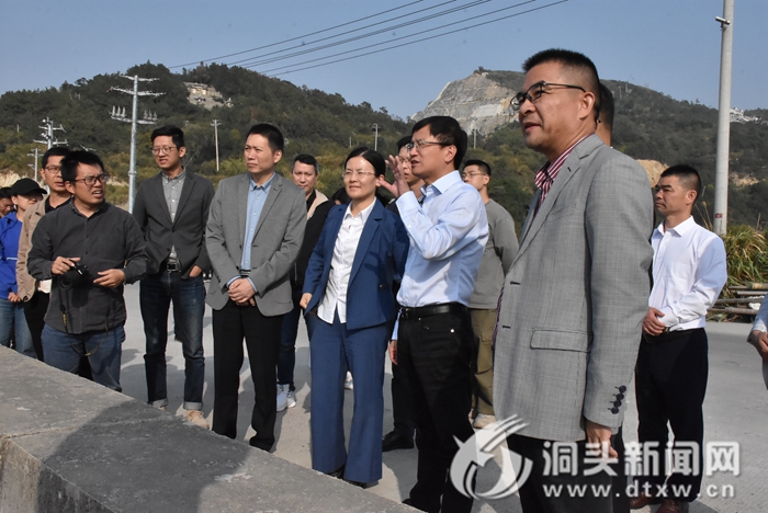王蛟虎调研海洋湿地专项工作：打造万亩红树林海洋生态湿地