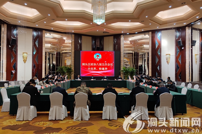 区政协八届五次会议开展分组活动