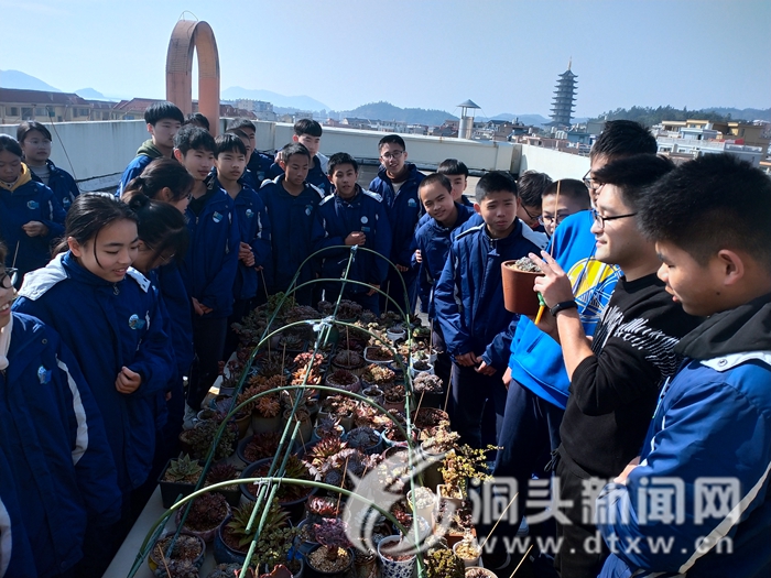 实验中学户外劳动实践土豆丰收-洞头新闻网