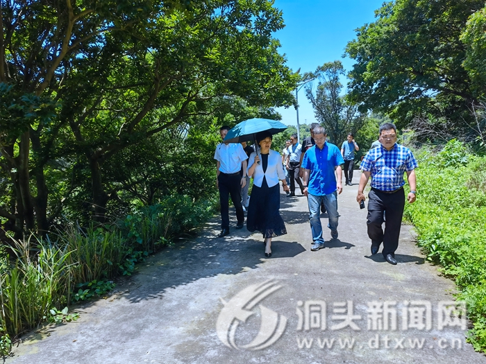 洞头区委书记林霞开展国开行融资项目调研
