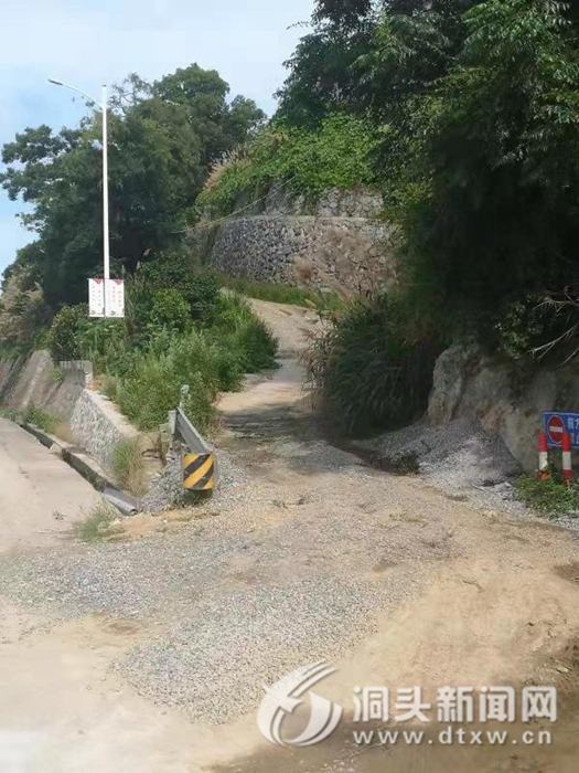 区人大调研霓屿街道桐岙村路口隐患整治工作