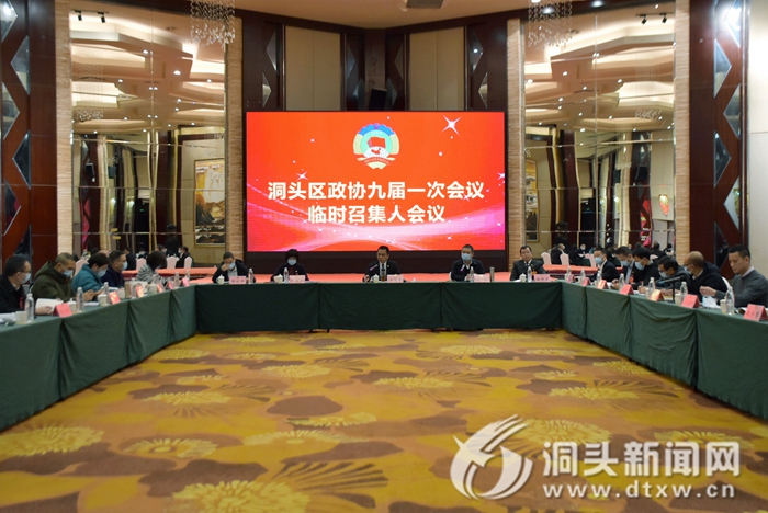 【聚焦区“两会”】区政协九届一次会议举行各界别组临时召集人会议
