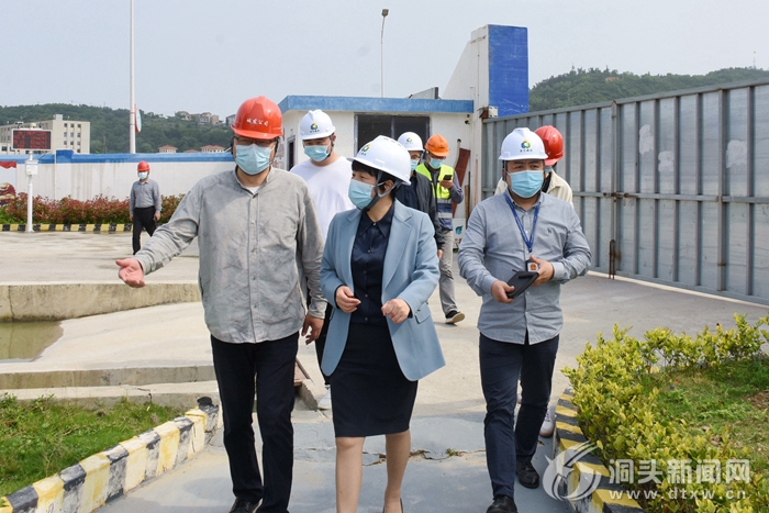 下沉服务 除险保安 区领导带队开展安全生产和疫情防控暗访检查