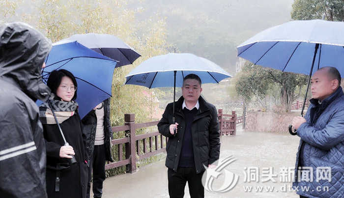 区领导调研我区主要道路沿线和美乡村建设工作