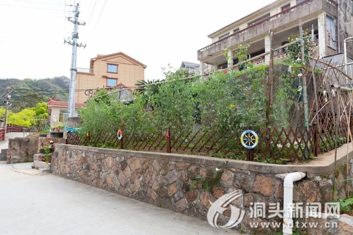 【和美乡村看洞头】“一米菜地”变身“口袋公园” 助力和美乡村建设