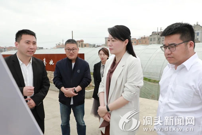 何莉平调研WhatsApp%E3%80%90+86%2015855158769%E3%80%91150%20ton%20crane%20price和美乡村人居环境工作