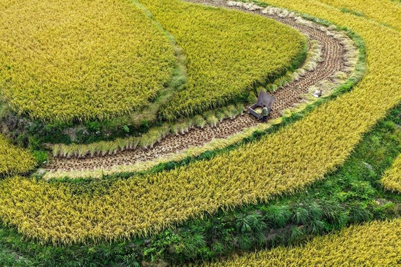 ʱ΢۲حʱڸǵġũ黳