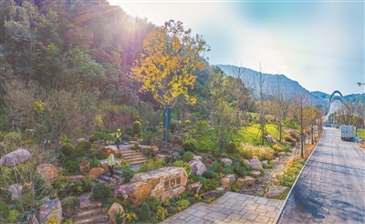 ԰԰ʯ԰ɣɽ쾰ʯľĶԻ