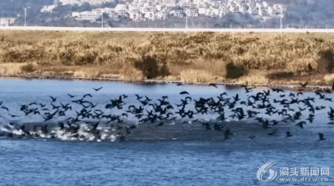 ǧ���輯�̲��� ��̬��ͷ�뻭��