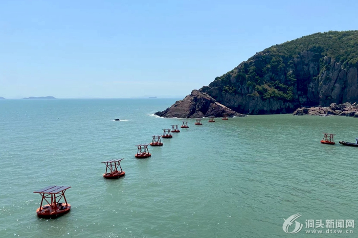 �����׼��������ͷ��̬������ҵ���롰�ּ�ʱ����