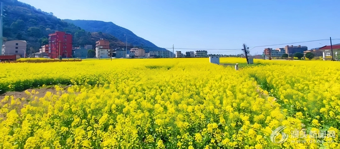 ���ϻ�԰��ȫ��ɽ��ح��ͷ�ĵ�һĨ��ɫ�����ˣ�